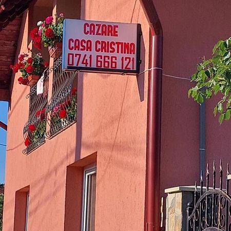 Casa Cristina Hotell Cîrţişoara Exteriör bild