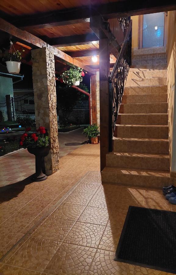 Casa Cristina Hotell Cîrţişoara Exteriör bild