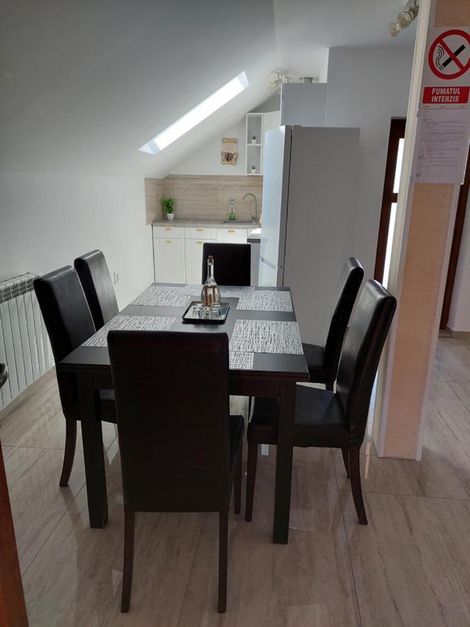 Casa Cristina Hotell Cîrţişoara Exteriör bild