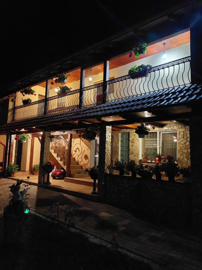 Casa Cristina Hotell Cîrţişoara Exteriör bild