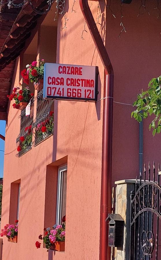 Casa Cristina Hotell Cîrţişoara Exteriör bild
