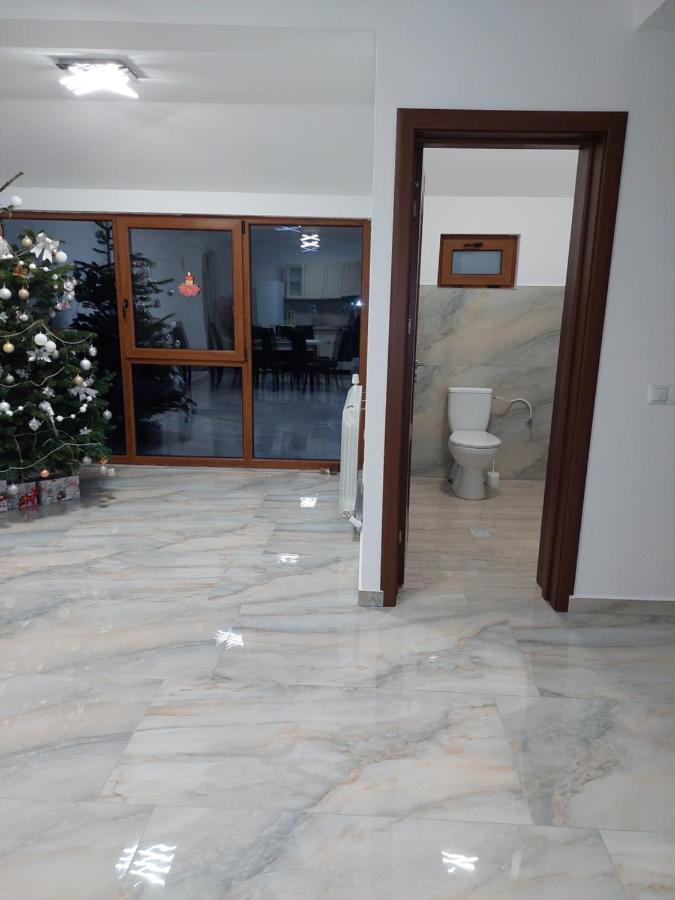 Casa Cristina Hotell Cîrţişoara Exteriör bild