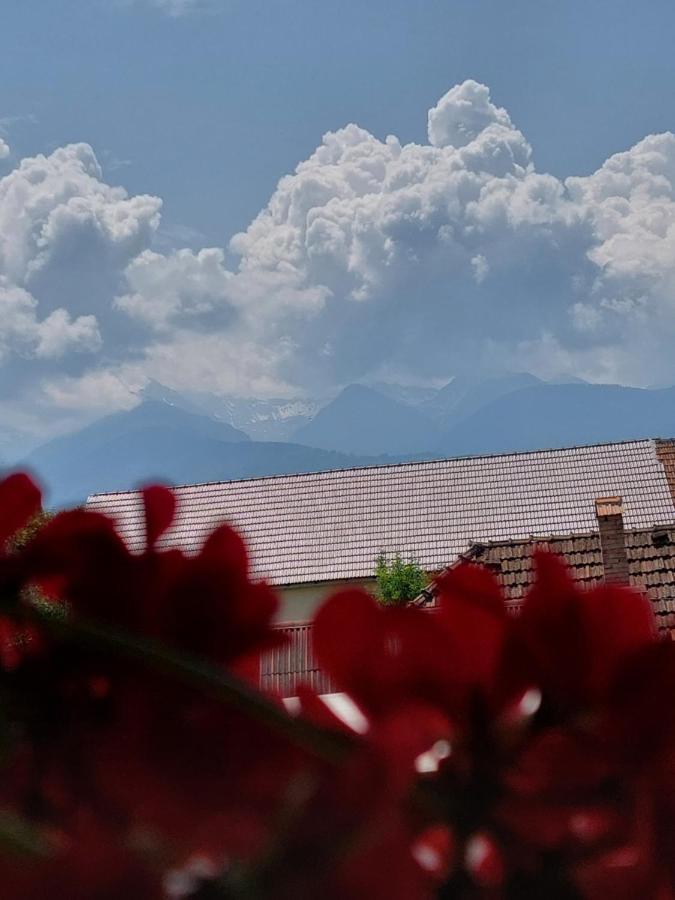 Casa Cristina Hotell Cîrţişoara Exteriör bild