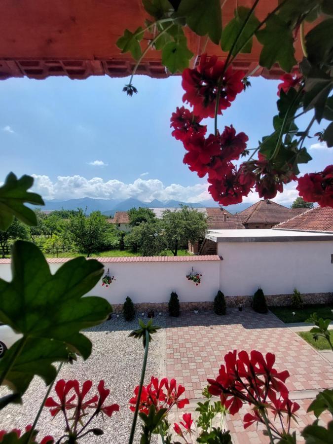 Casa Cristina Hotell Cîrţişoara Exteriör bild