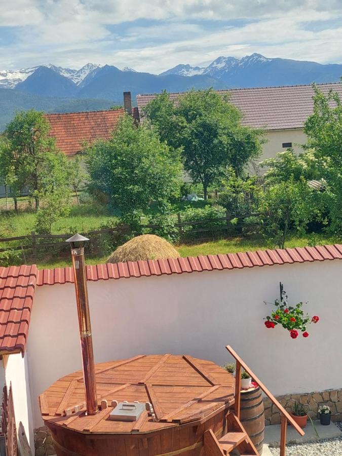 Casa Cristina Hotell Cîrţişoara Exteriör bild