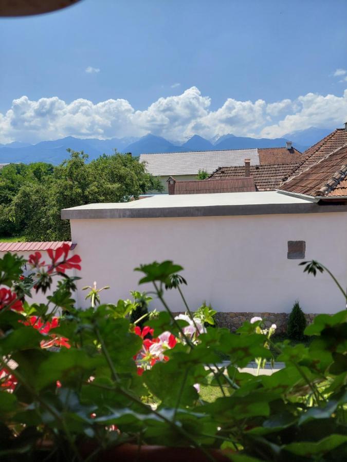 Casa Cristina Hotell Cîrţişoara Exteriör bild