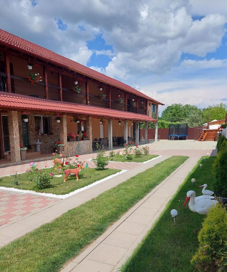 Casa Cristina Hotell Cîrţişoara Exteriör bild