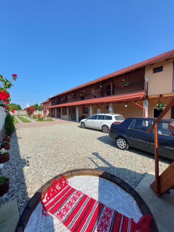 Casa Cristina Hotell Cîrţişoara Exteriör bild