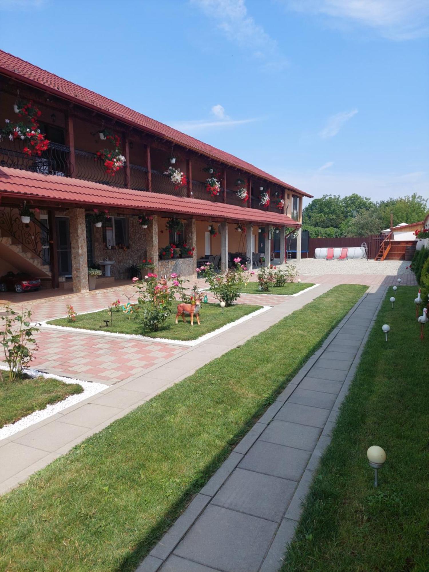 Casa Cristina Hotell Cîrţişoara Exteriör bild